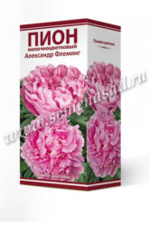 Пион молочноцветковый Александр Флеминг (розовид.,розовый) (1шт./уп.) (Солн.сад)