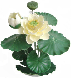 Букет водных лилий на подставке h=39см (цвет кремовый) COY38C