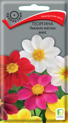 Георгина Пикколо Мигнон Микс однол. 0,3гр. (Поиск)