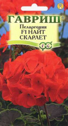 Пеларгония зональная Найт Скарлет F1 4шт. (комн.) (Гавриш)