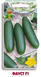 Огурцы Фауст F1 12шт. (Поиск)