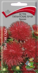 Астра Гигантские лучи Красная 0,3гр. (Поиск)