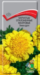 Бархатцы Лемон Дроп откл.махр. 0,4гр. (Поиск)