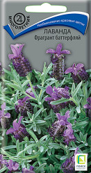 Лаванда Фрагрант Баттерфляй многол. 20шт. (Поиск)