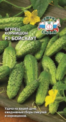 Огурцы Бойскаут F1 (Седек)