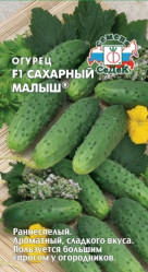Огурцы Сахарный Малыш F1 (Седек)