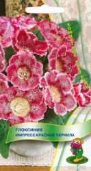 Глоксиния Импресс Красные чернила 5шт. (комн.раст.) (Поиск)