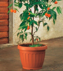 Кашпо ТЕРРА 60см 30094 (BAMA)