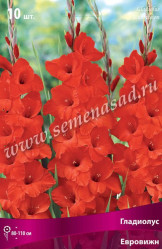 Гладиолус Евровижн 10/12 (10шт./уп.) (Солн.сад)