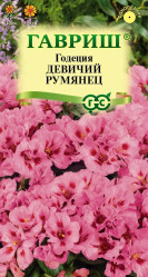 Годеция Девичий румянец однол. (Гавриш)