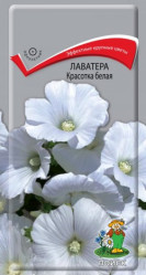 Лаватера Красотка Белый однол. 0,3гр. (Поиск)