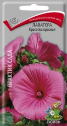 Лаватера Красотка Красный однол. 0,3гр. (Поиск)