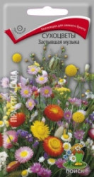 Сухоцветы Застывшая музыка однол. 0,3гр. (Поиск)