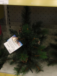 Сосна мини Аляска заснеженная с шишками Н=60см (CCF405325)