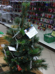 Сосна мини Аляска заснеженная с шишками Н=90см (CCF405330)