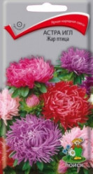 Астра игл Жар-птица 0,3гр. (Поиск)