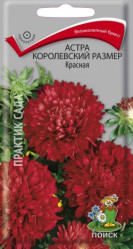 Астра королевский размер Красная 0,1гр. (Поиск)