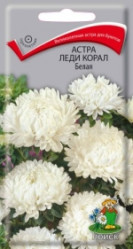 Астра Леди Корал Белая 0,1гр. (Поиск)