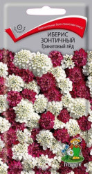 Иберис зонтичный Гранатовый лед однол. 0,1гр. (Поиск)