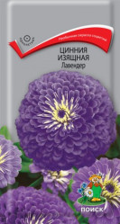 Цинния Лавендер однол. 0,4гр. (Поиск)