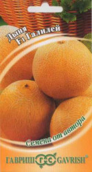 Дыня Галилей F1 15шт. автор. (Гавриш)