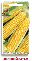 Кукуруза Золотой батам 10гр. (Поиск)