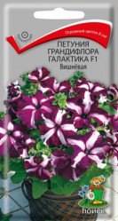 Петуния Галактика F1 Вишнёвая 10шт.грандифлора (Поиск)