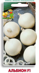 Лук репчатый Альбион 1гр. (Поиск)