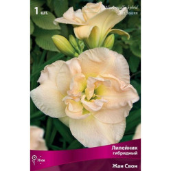 Лилейник гибр. Жан Свон (1шт./уп.) (Солн.сад)