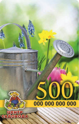 Подарочная карта 500 руб.
