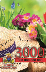 Подарочная карта 3000 руб.