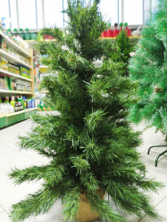 Сосна мини Орегон в мешочке Н=90см