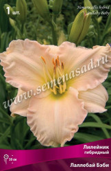 Лилейник гибр. Лаллебай Бэби (1шт./уп.) (Солн.сад)