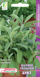 Шалфей овощной Бриз 0,5гр. (авт.серия) (Поиск)