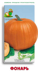 Тыква Фонарь 10шт. (Поиск)