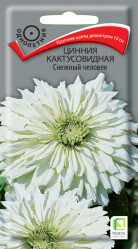Цинния Снежный человек однол. 0,4гр. (Поиск)