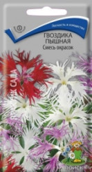 Гвоздика пышная Смесь окрасок многол. 0,1гр. (Поиск)