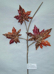 Ветка "Золотая осень" TLN479