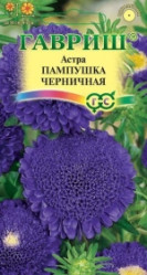 Астра Пампушка черничная 0,3гр. (Гавриш)