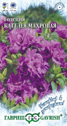 Годеция Каттлея однол. (Гавриш)