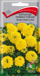 Бархатцы Купид Голден Еллоу прямост. 0,2гр. (Поиск)