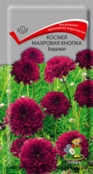 Космея Махровая кнопка Бордовая однол. 0,1гр. (Поиск)