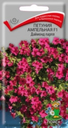 Петуния Даймонд парпл F1 5шт.амп.(Поиск)