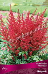 Астильба японск. Везувий (1шт./уп.) (Солн.сад)