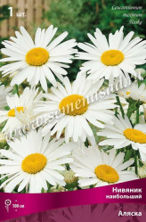 Нивяник наибольший Аляска (1шт./уп.) (Солн.сад)