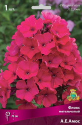 Флокс метельч. А.Е.Амос (1шт./уп.) (Солн.сад)