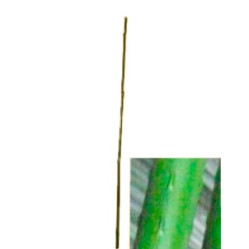Палка LIST'OK д/растений пластм. 180см LCSP-16-180