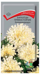 Бархатцы Килиманджаро прямост. 0,1гр. (Поиск)