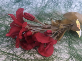 Цветы Dinastel Лилейник 62см GT0204235Q