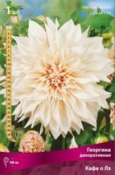 Георгина Кафе о Лэ (декор.) (1шт./уп.) (Солн.сад)